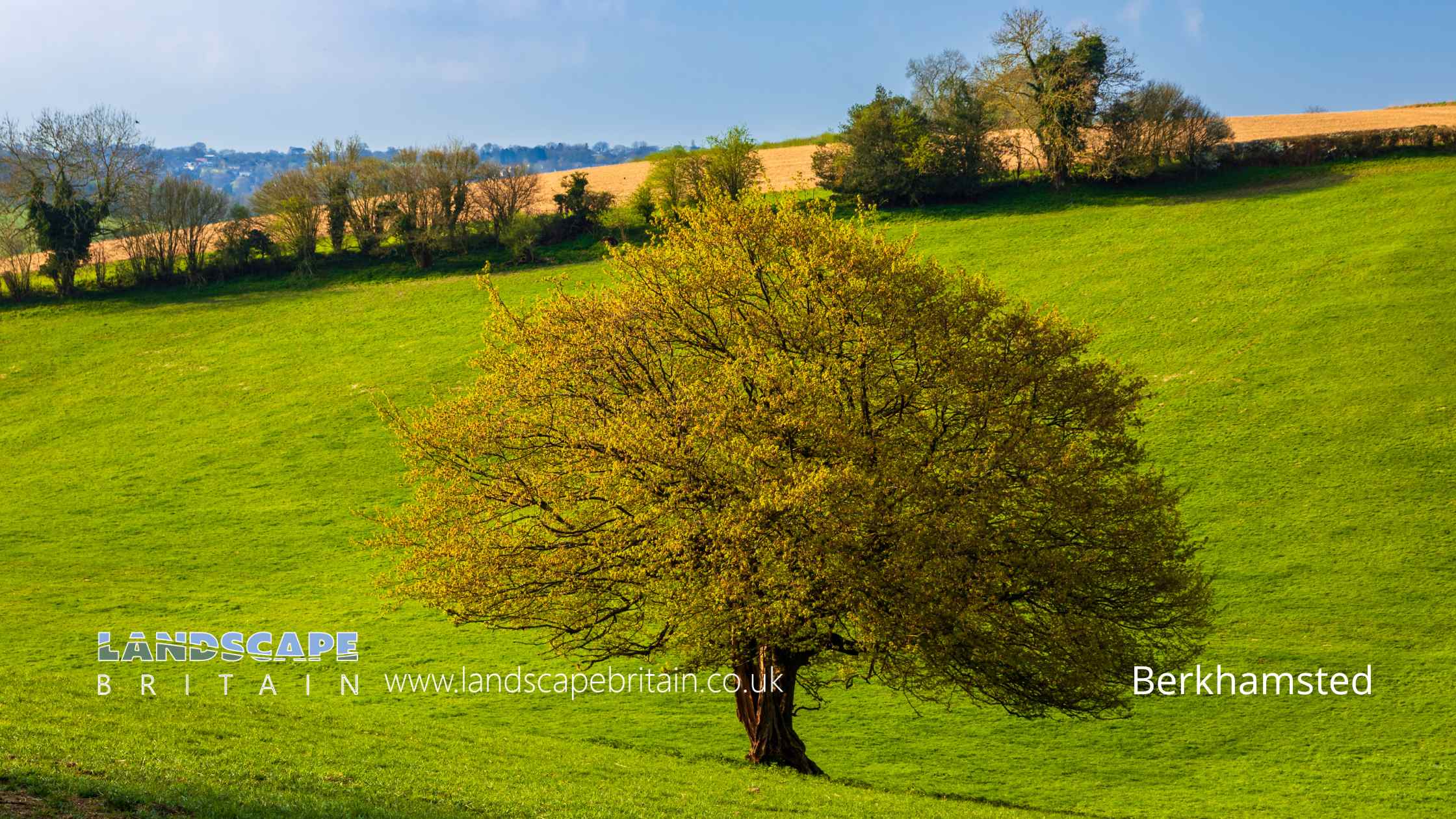 Berkhamsted in Hertfordshire
