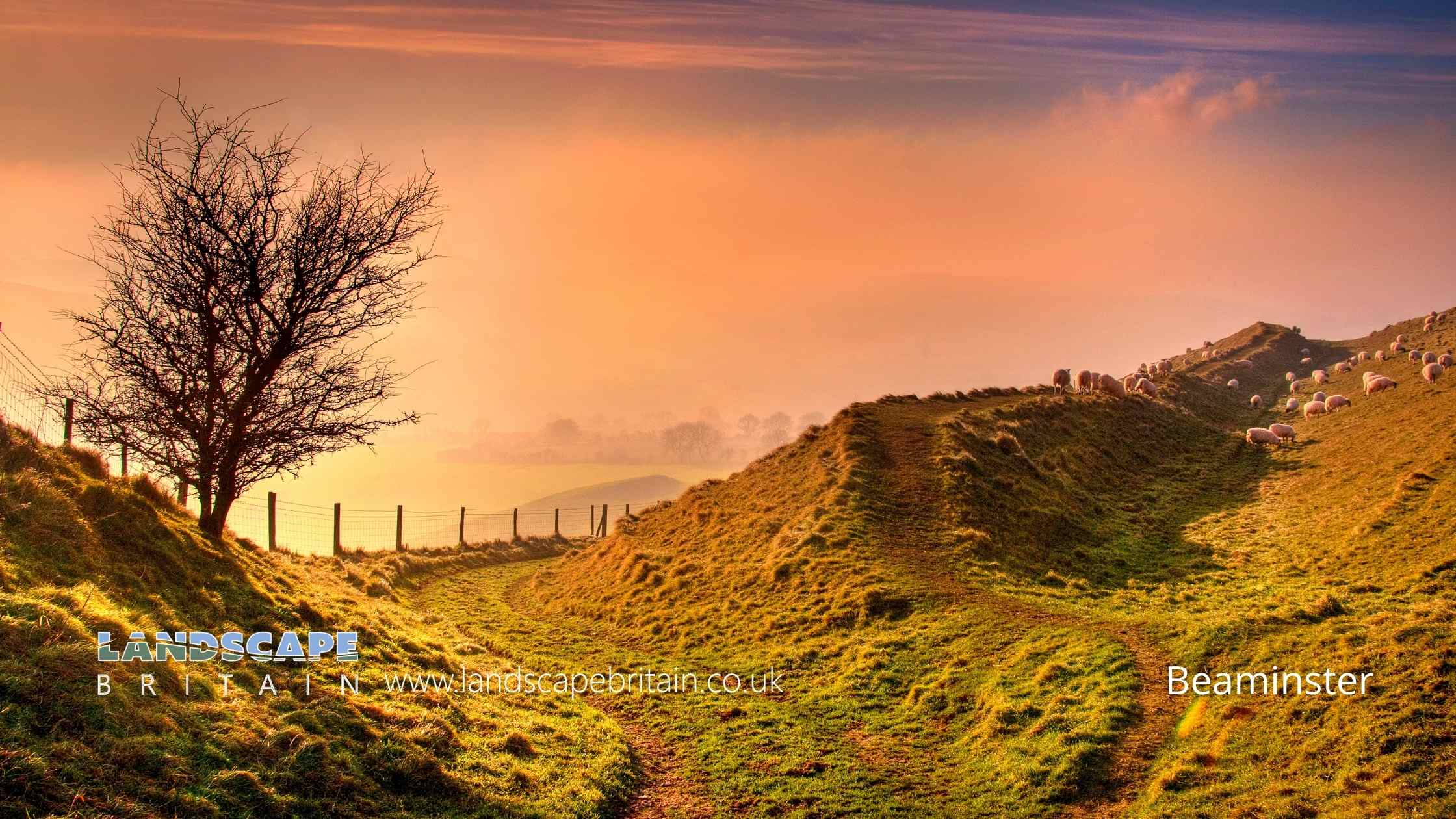 Beaminster in Dorset
