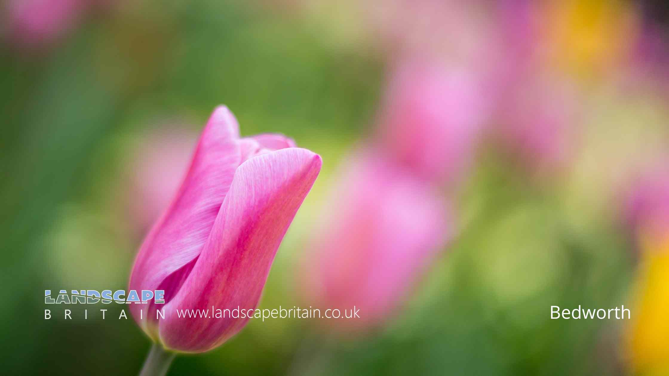 Bedworth in Warwickshire