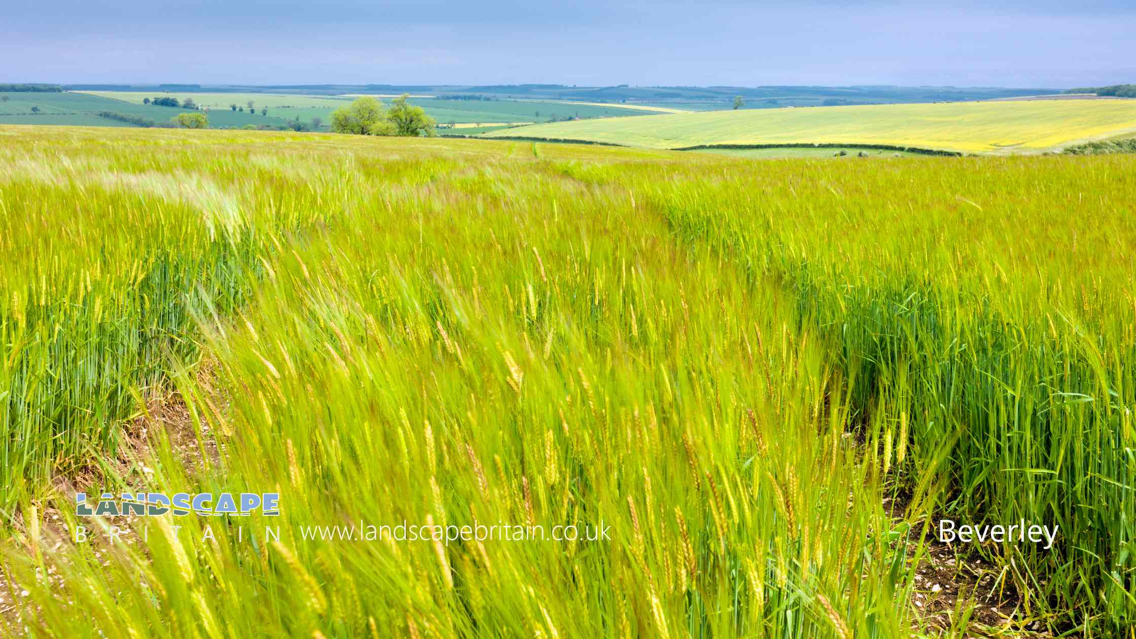 Beverley in East Riding of Yorkshire
