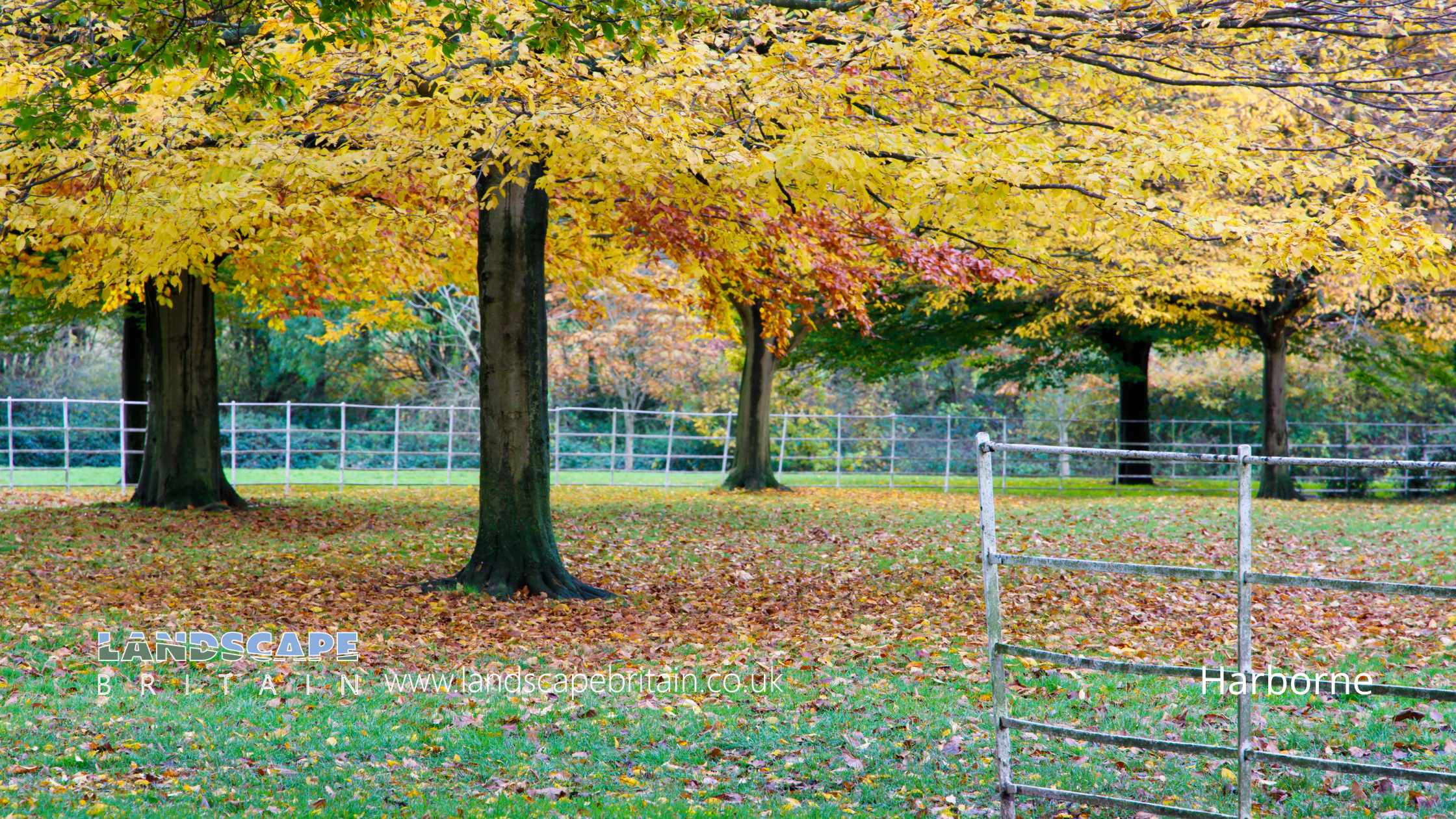 Harborne in West Midlands Harborne in West Midlands
