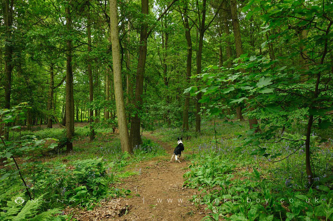 Nuneaton in Warwickshire