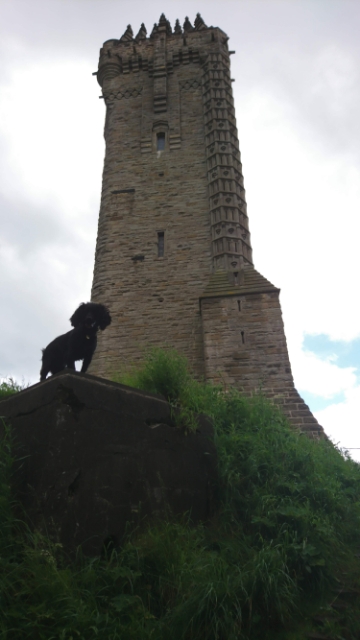 Stirling in Stirling